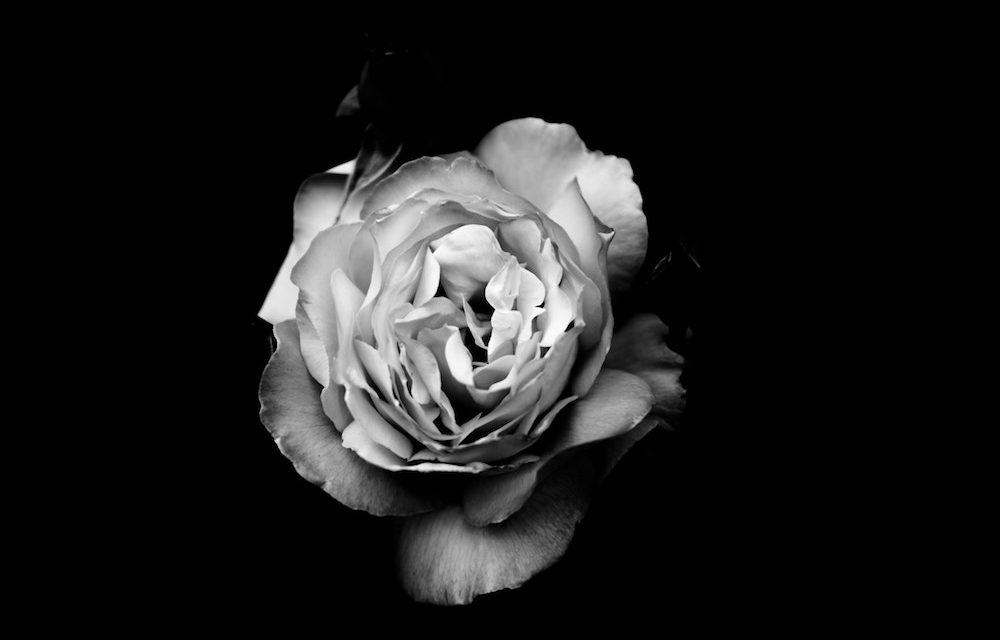 The bravest decision of my life essay image