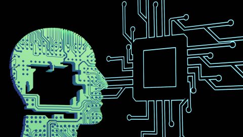 Brain Function Border Sentience without borders: ethics beyond the brain – BJGP Life