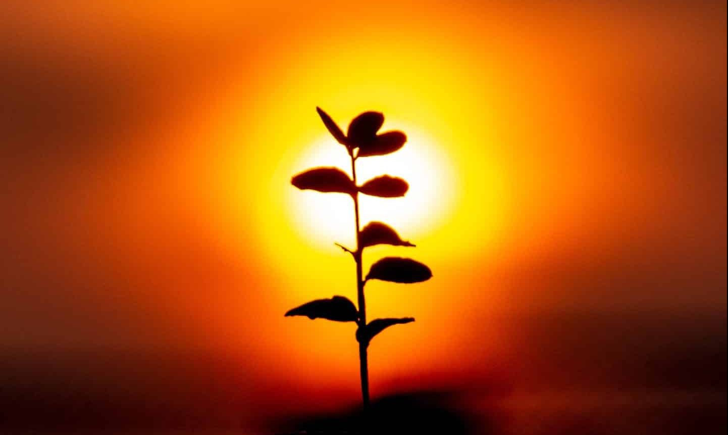 2024 Is Here Happy New Year From BJGP Life BJGP Life